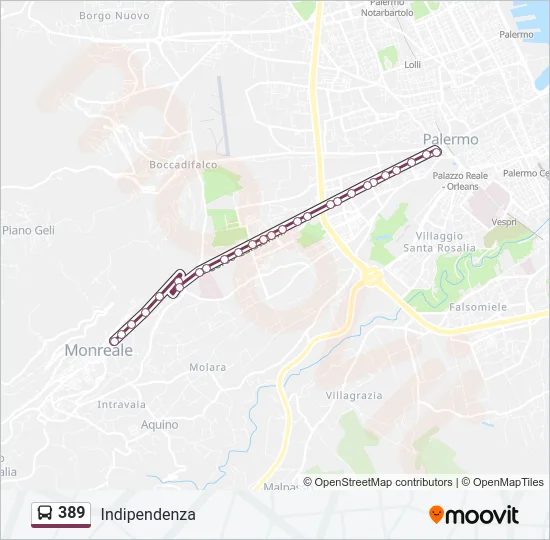 389 Bus Line Map