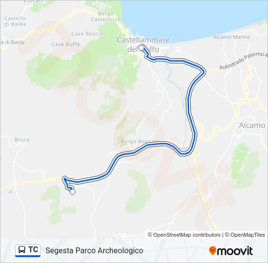 TC Bus Line Map