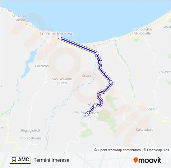 AMC Bus Line Map