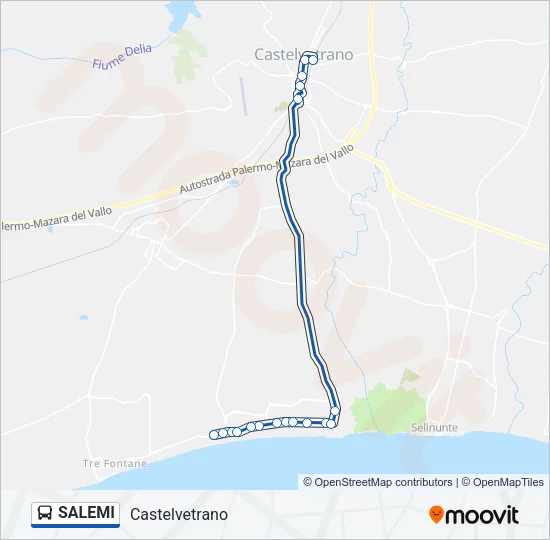 SALEMI Bus Line Map