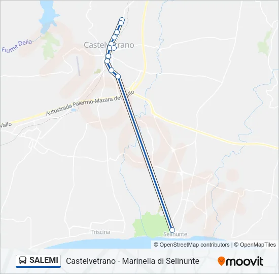 SALEMI Bus Line Map