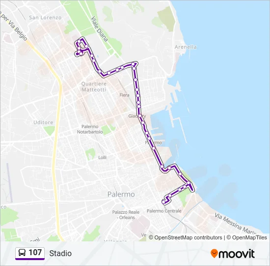 107 Bus Line Map