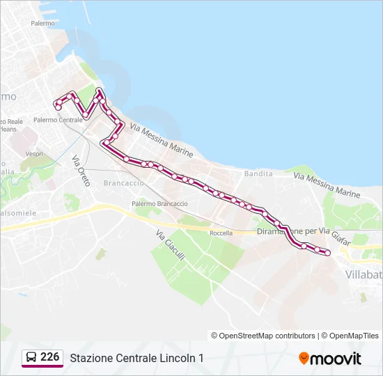 226 Bus Line Map