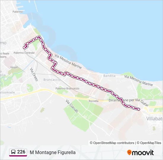 226 Bus Line Map