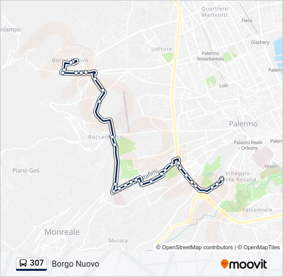 307 Bus Line Map