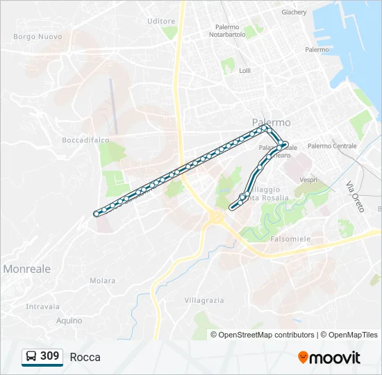 309 Bus Line Map