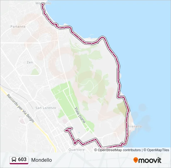 603 Bus Line Map