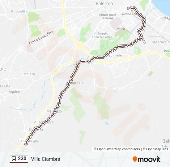 230 Bus Line Map