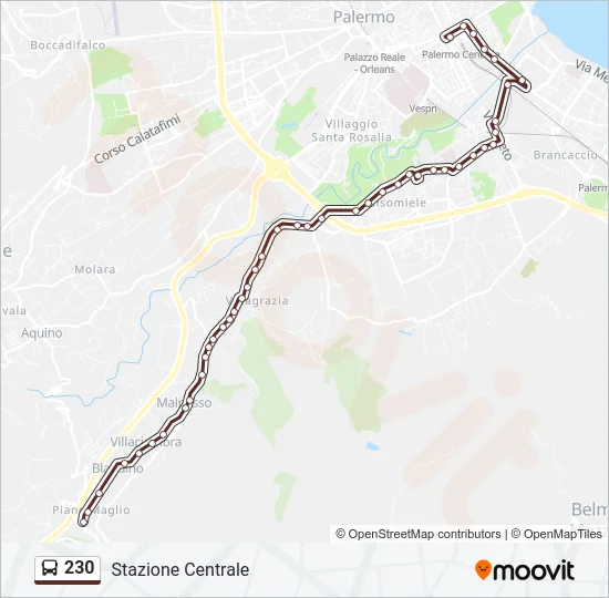 230 Bus Line Map