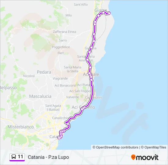 11 Bus Line Map