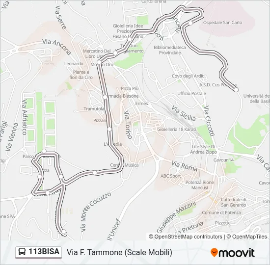 113BISA Bus Line Map