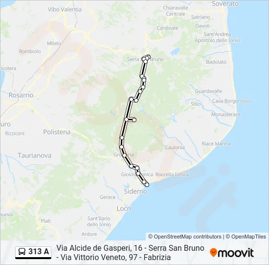 313 A Bus Line Map