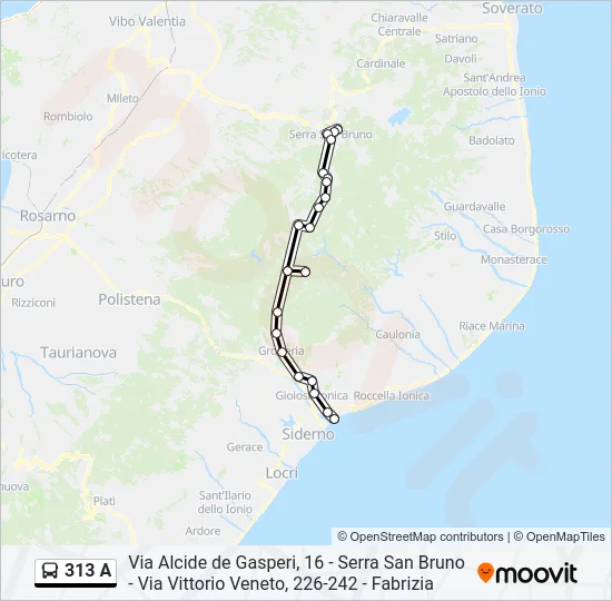 313 A Bus Line Map