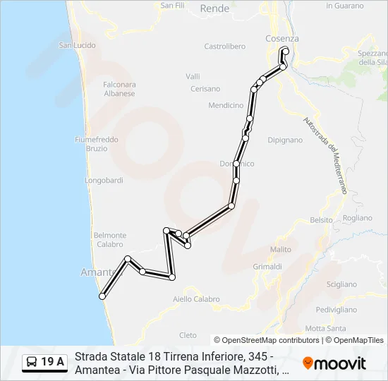 19 A Bus Line Map