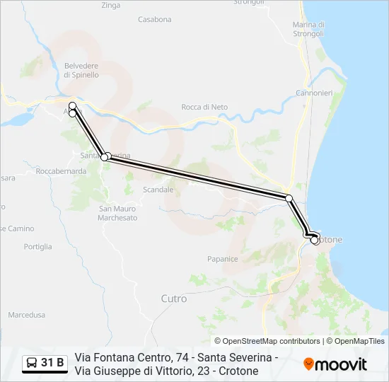31 B Bus Line Map