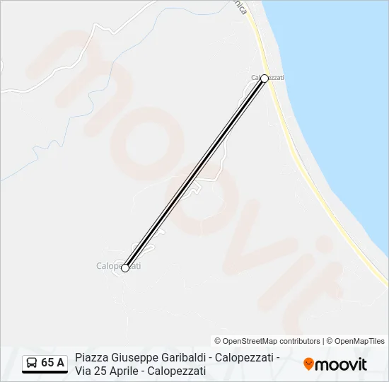 65 A Bus Line Map