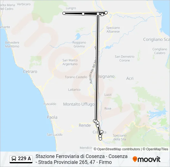 229 A Bus Line Map