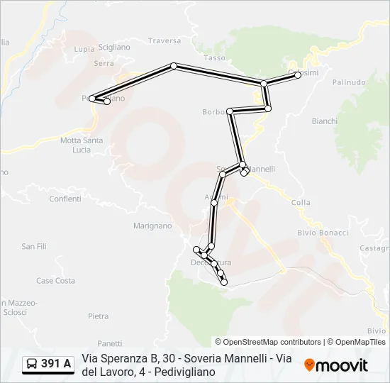 391 A Bus Line Map