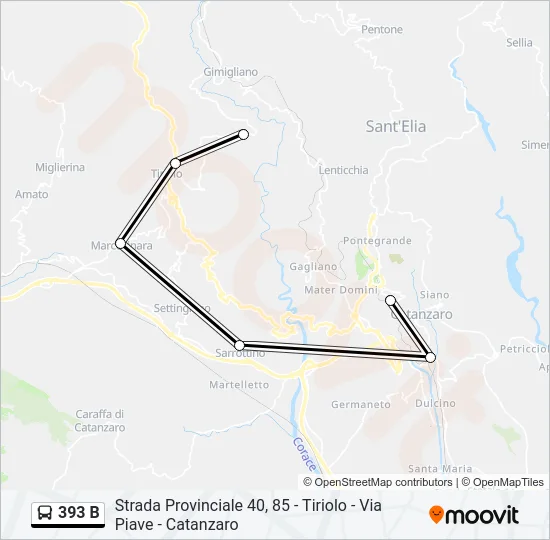 393 B Bus Line Map