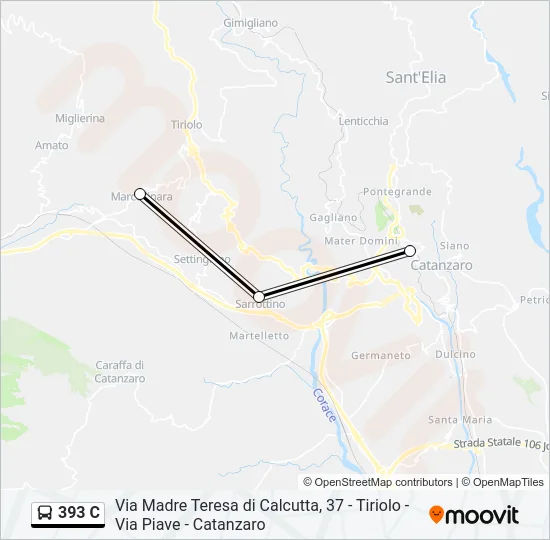 393 C Bus Line Map