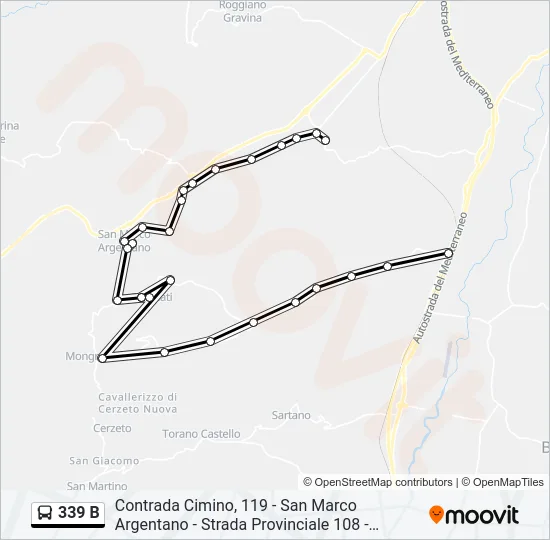 339 B Bus Line Map