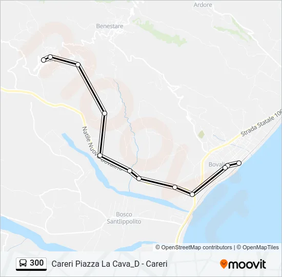 300 Bus Line Map