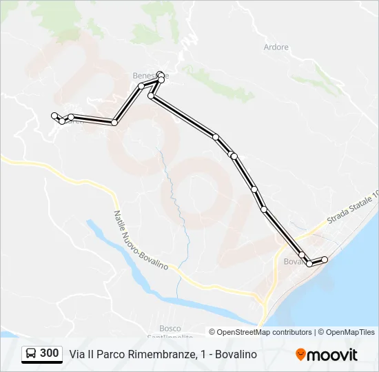 300 Bus Line Map