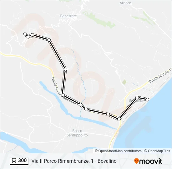 300 Bus Line Map