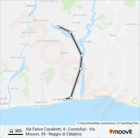 303 Bus Line Map