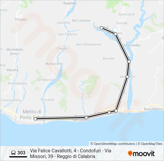 303 Bus Line Map