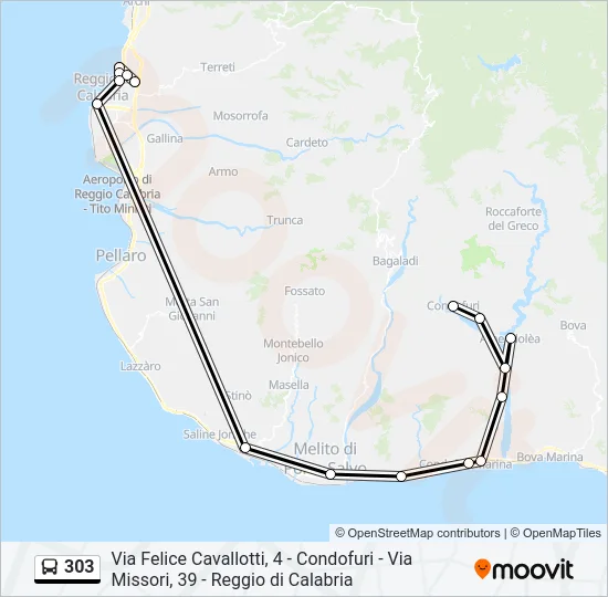 303 Bus Line Map