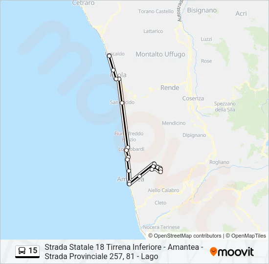 15 Bus Line Map