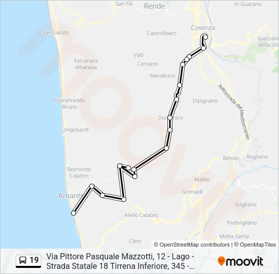19 Bus Line Map