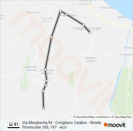 81 Bus Line Map