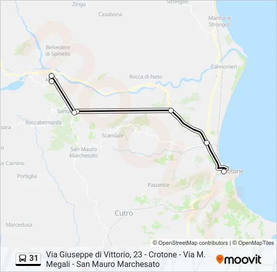 31 Bus Line Map