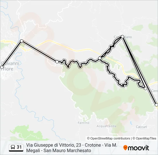 31 Bus Line Map