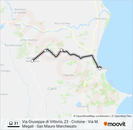 31 Bus Line Map
