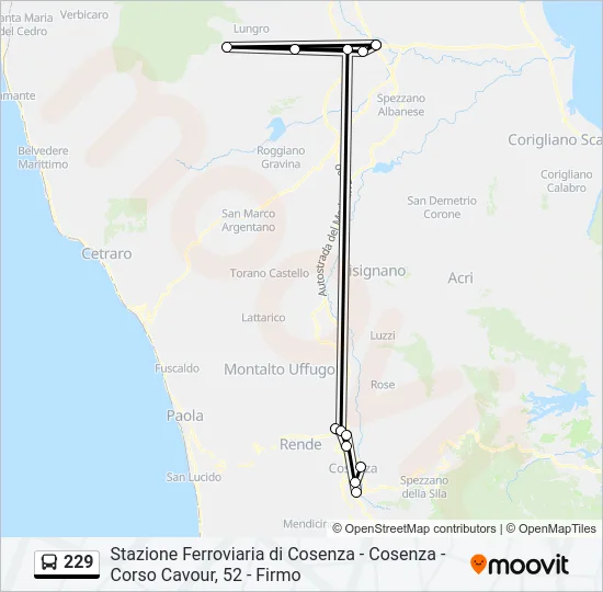 229 Bus Line Map