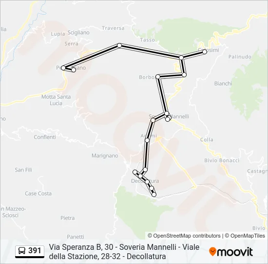 391 Bus Line Map