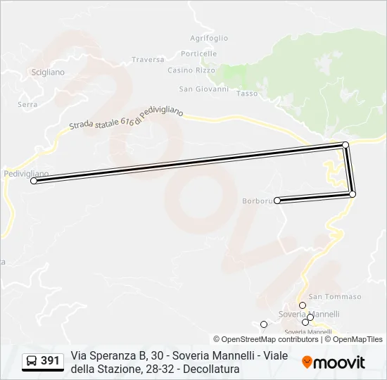 391 Bus Line Map
