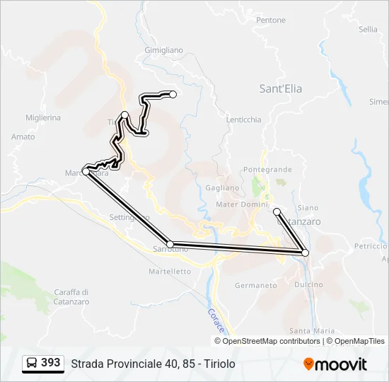 393 Bus Line Map