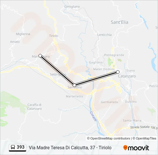 393 Bus Line Map