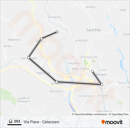 393 Bus Line Map