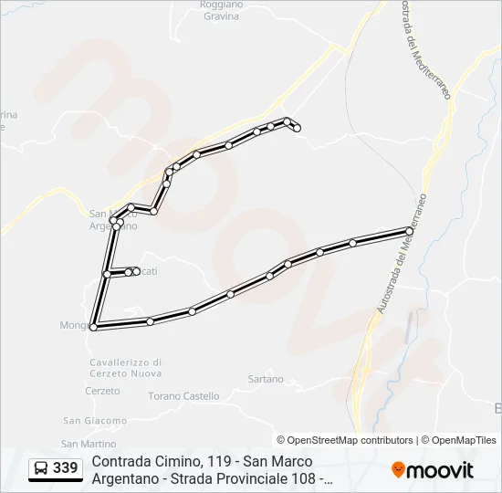 339 Bus Line Map