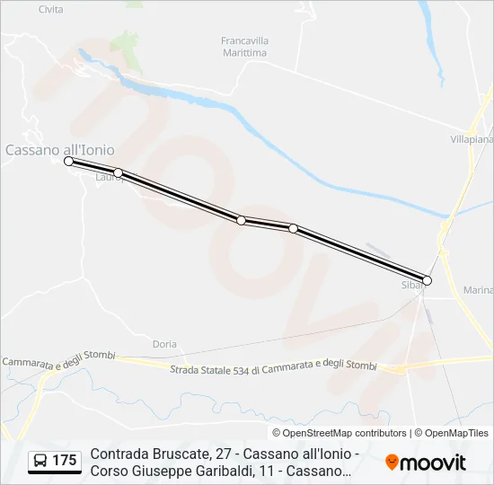 Percorso linea bus 175