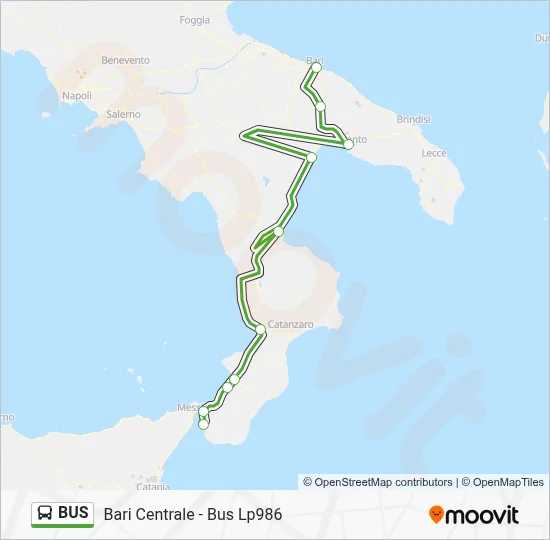 Mappa della linea BUS