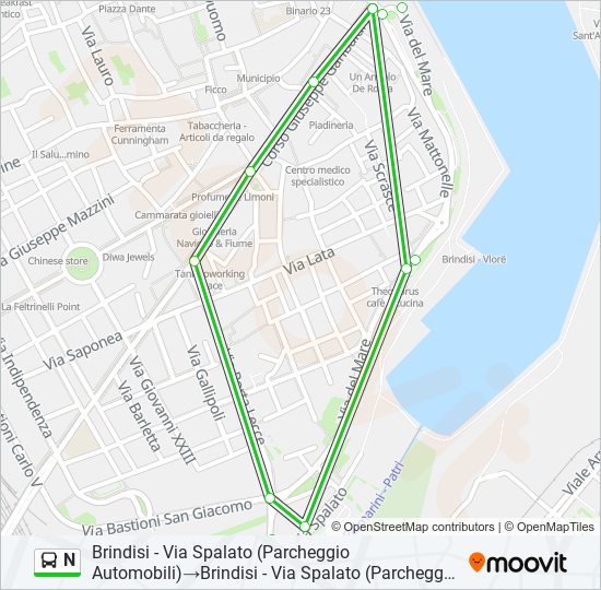 N bus Line Map