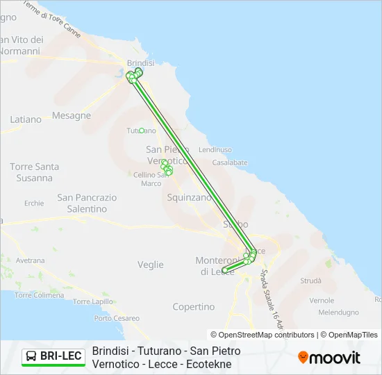 BRI-LEC Bus Line Map