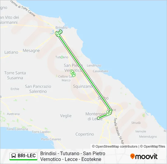 BRI-LEC Bus Line Map