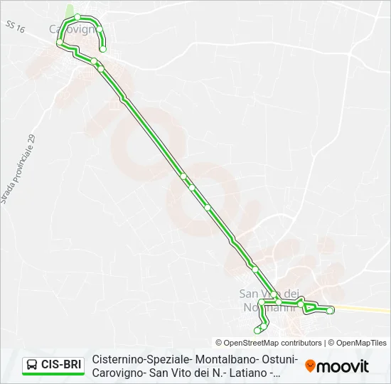 CIS-BRI Bus Line Map